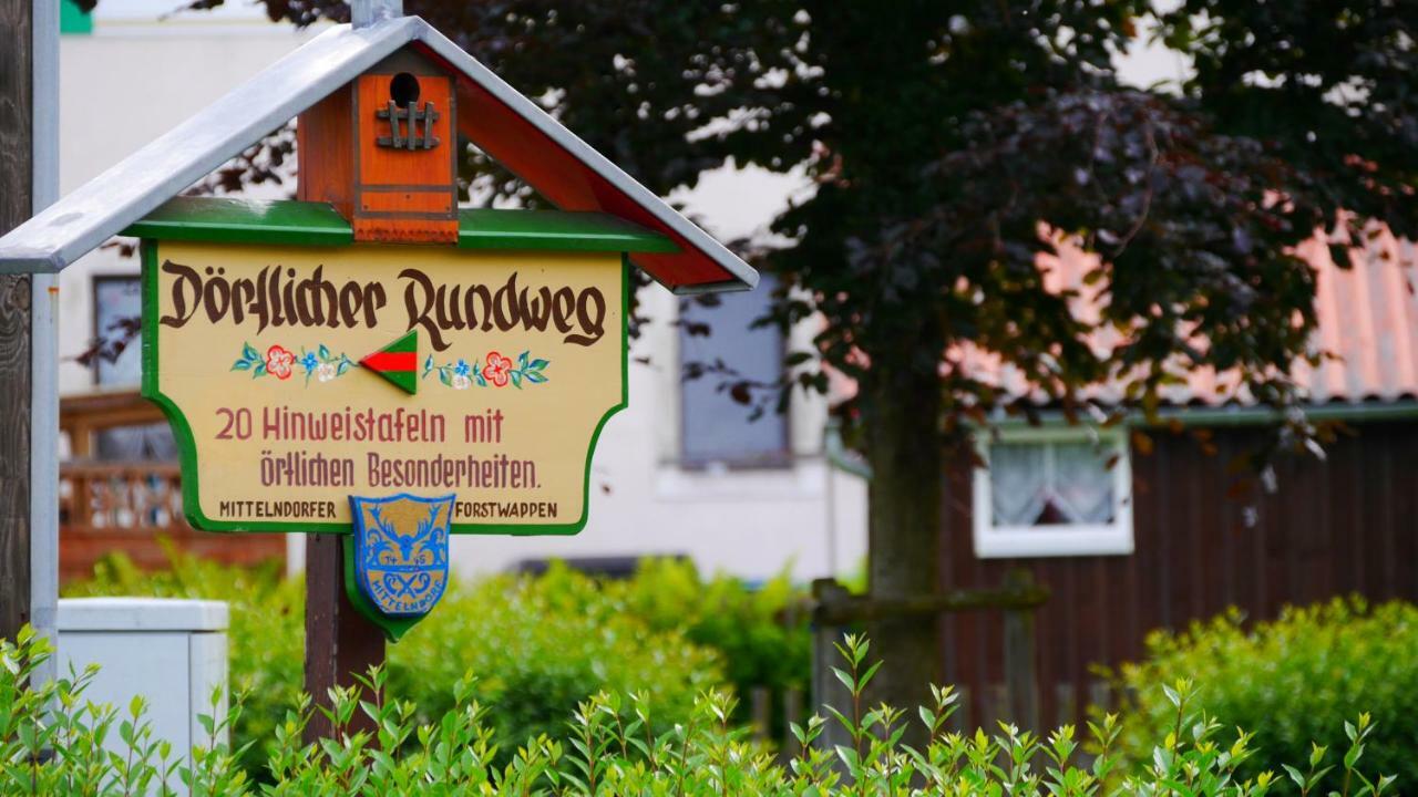 Pension Am Weinberg Saechsische Schweiz Mittelndorf Εξωτερικό φωτογραφία